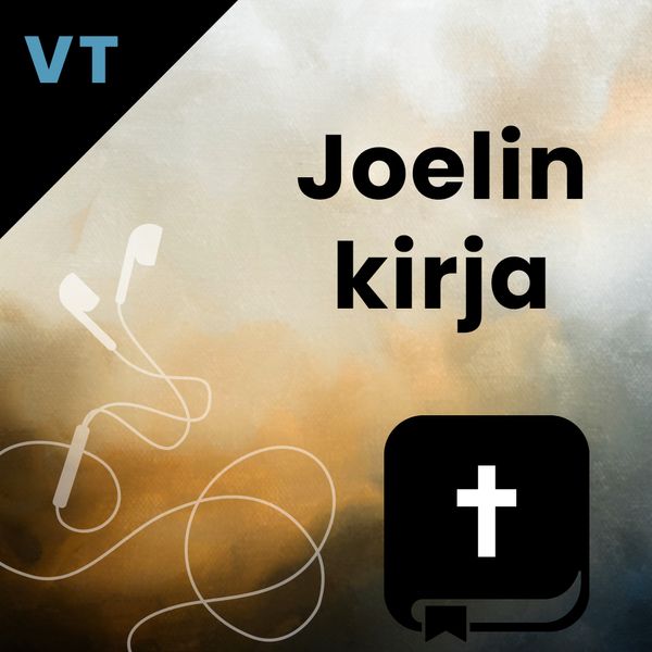 VT 29 Joelin kirja