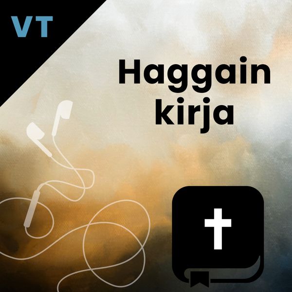 VT 37 Haggain kirja