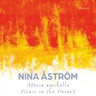 Ateria Aavikolla - Picnic in the desert